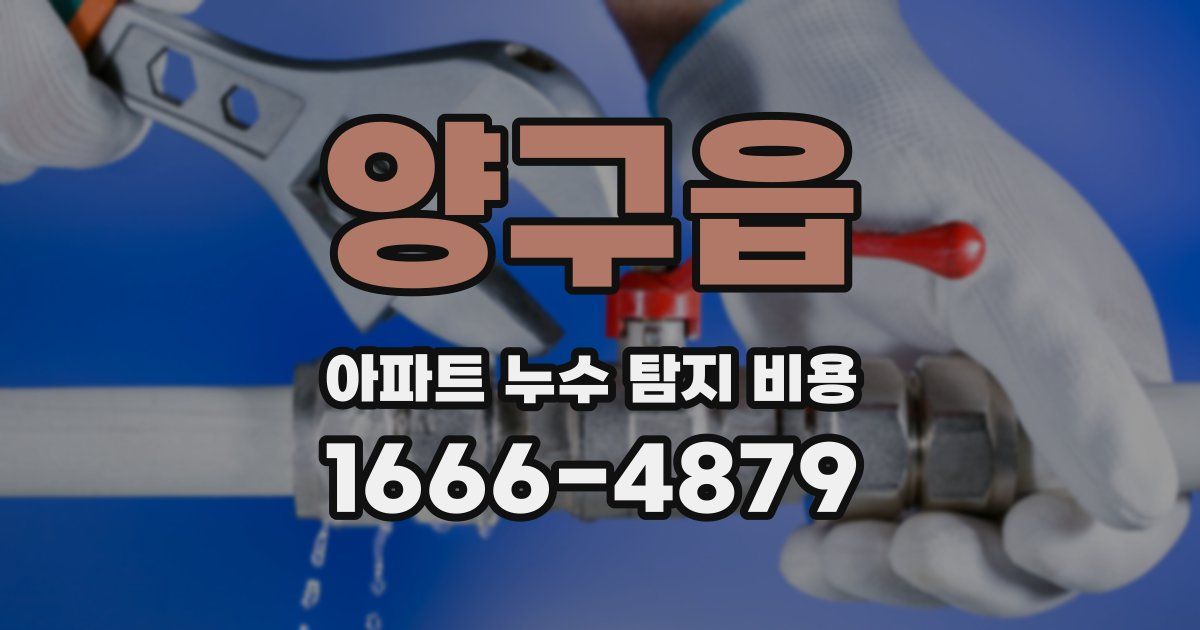 양구읍 아파트 누수 탐지 비용