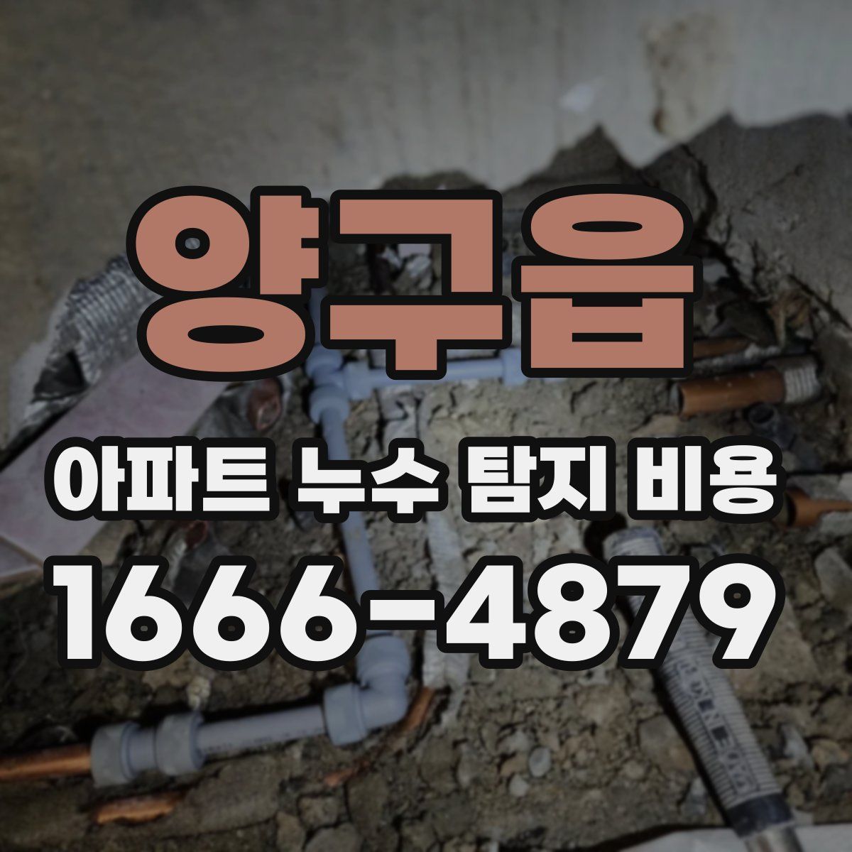 양구읍 아파트 누수 탐지 비용