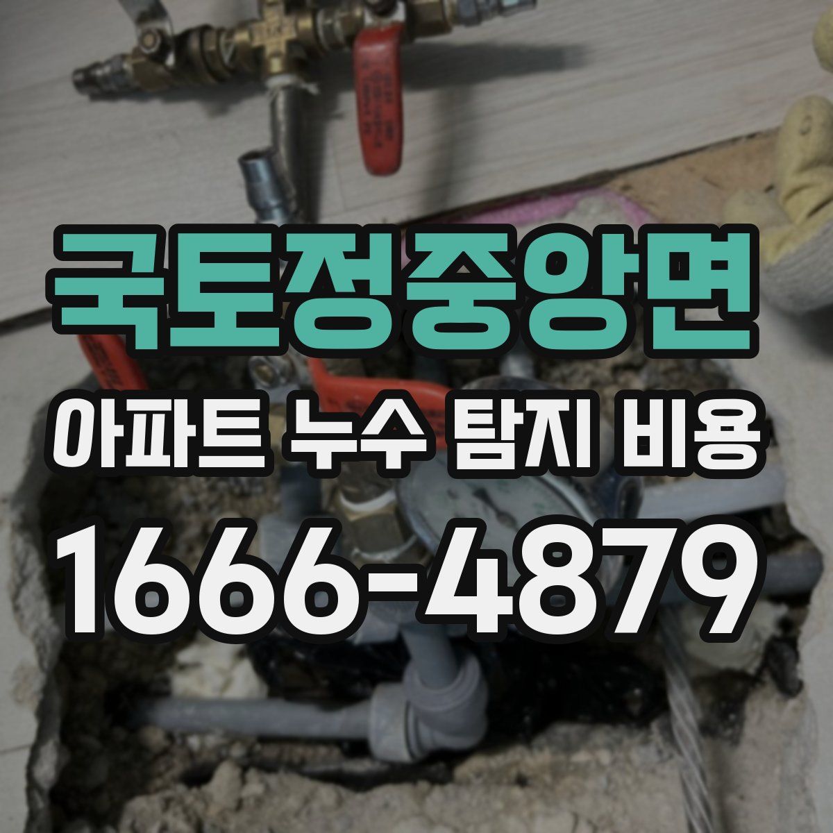 국토정중앙면 아파트 누수 탐지 비용