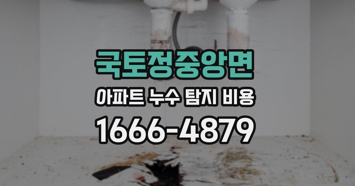 국토정중앙면 아파트 누수 탐지 비용