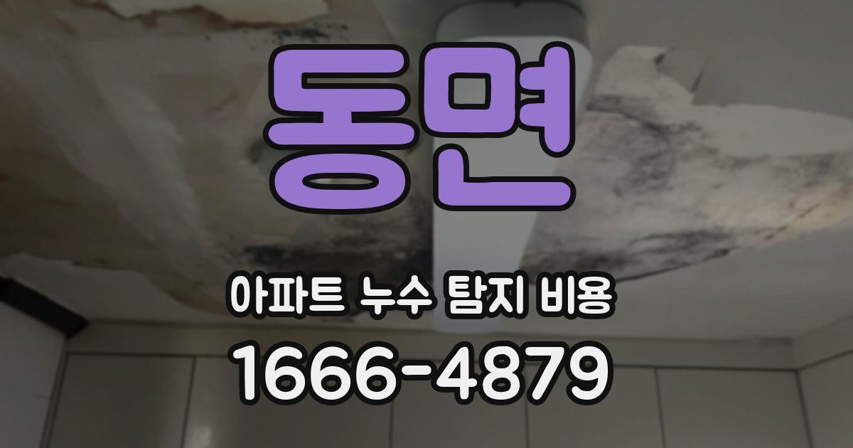 동면 아파트 누수 탐지 비용