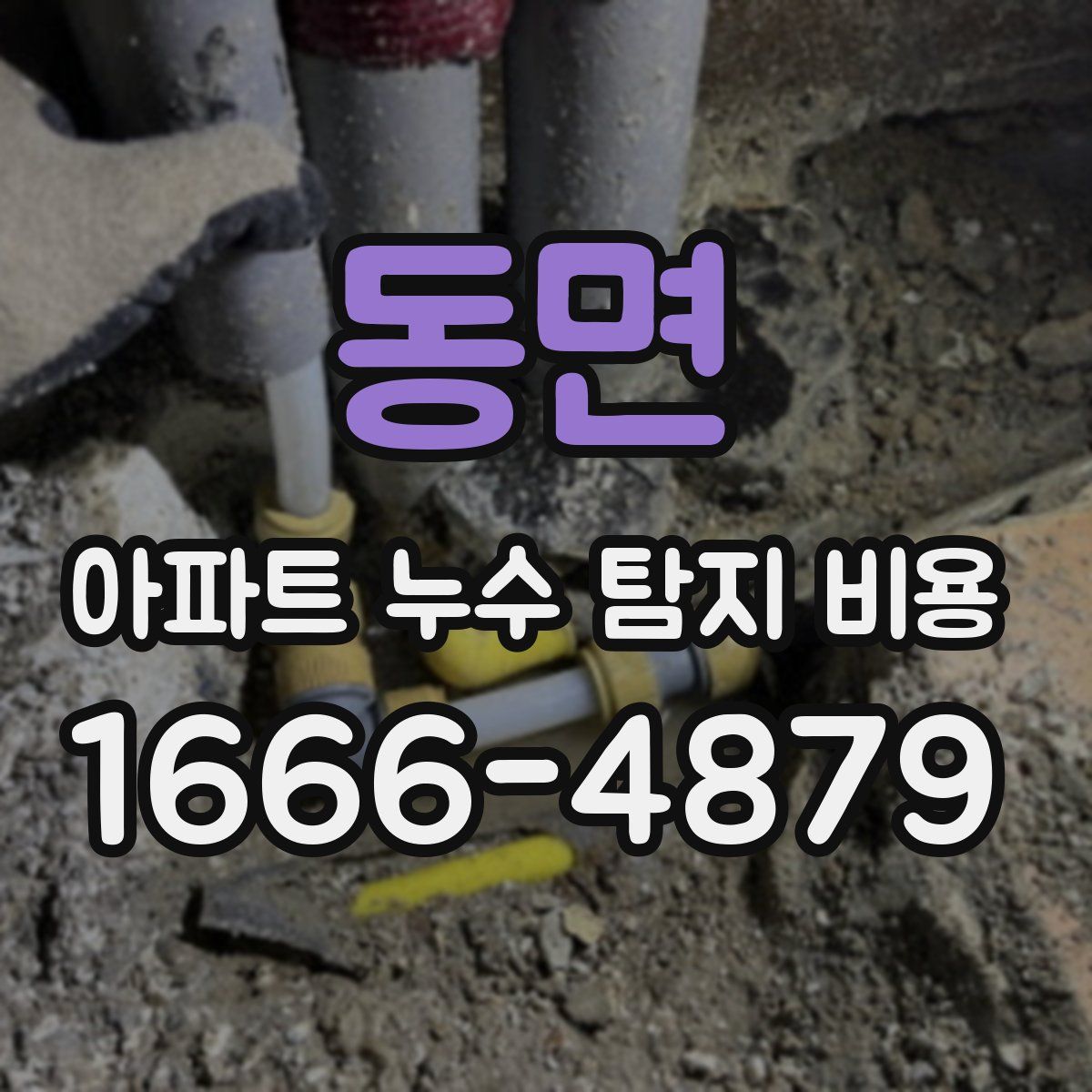 동면 아파트 누수 탐지 비용