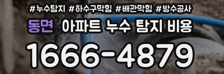 동면 아파트 누수 탐지 비용