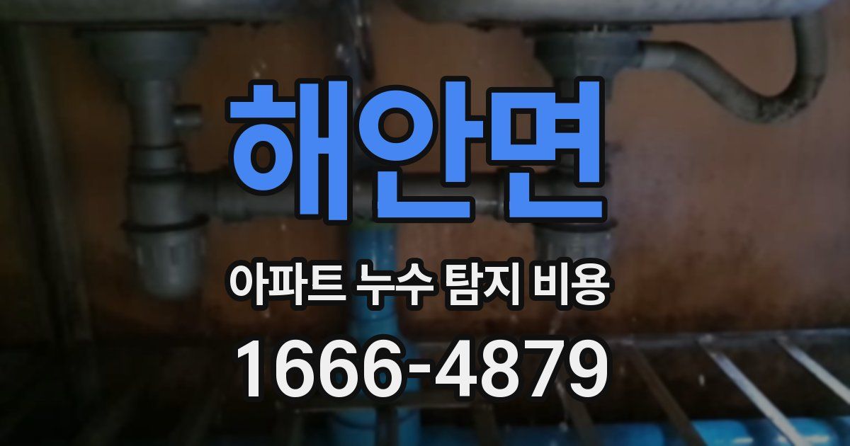 해안면 아파트 누수 탐지 비용