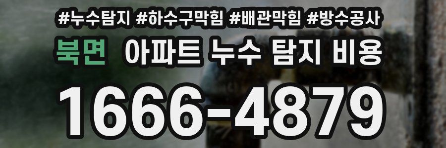 북면 아파트 누수 탐지 비용