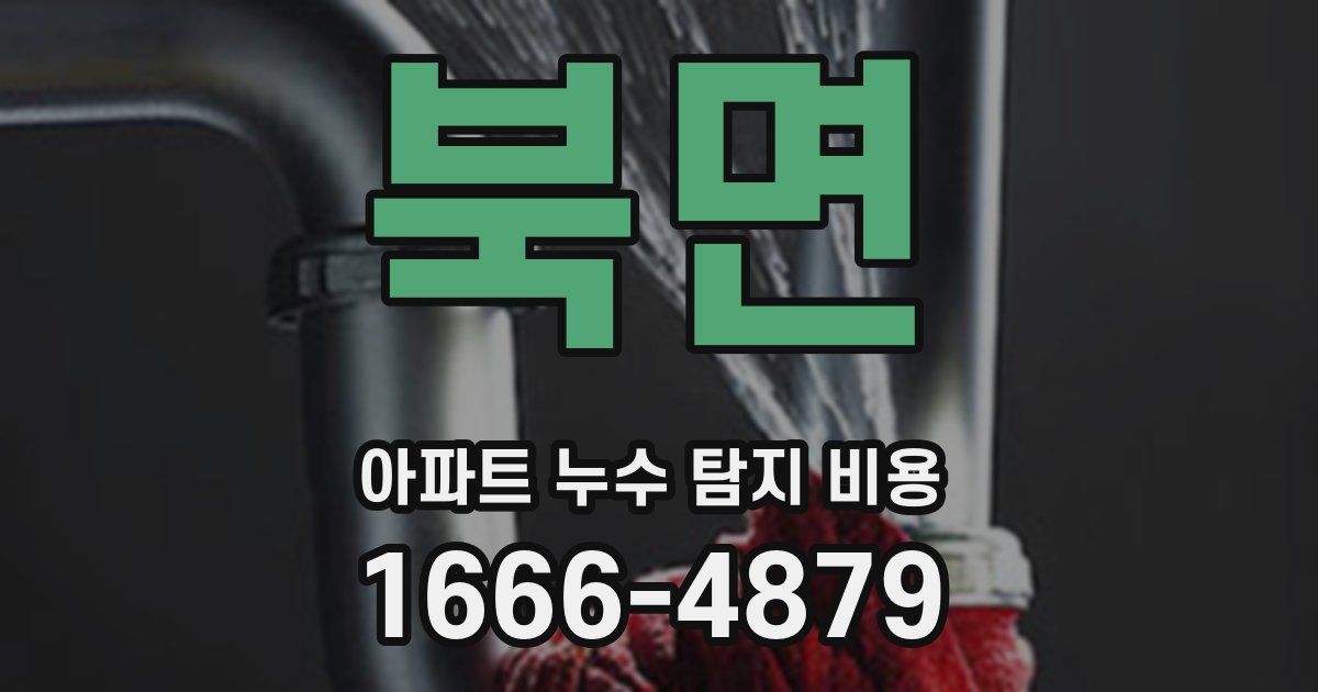 북면 아파트 누수 탐지 비용