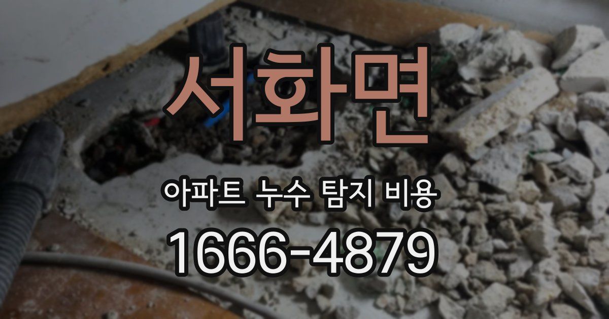 서화면 아파트 누수 탐지 비용