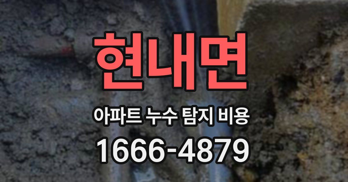 현내면 아파트 누수 탐지 비용