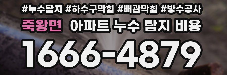 죽왕면 아파트 누수 탐지 비용