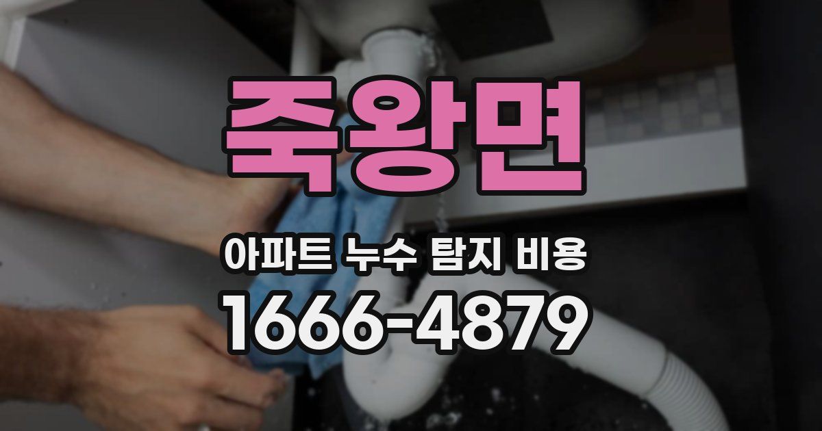 죽왕면 아파트 누수 탐지 비용