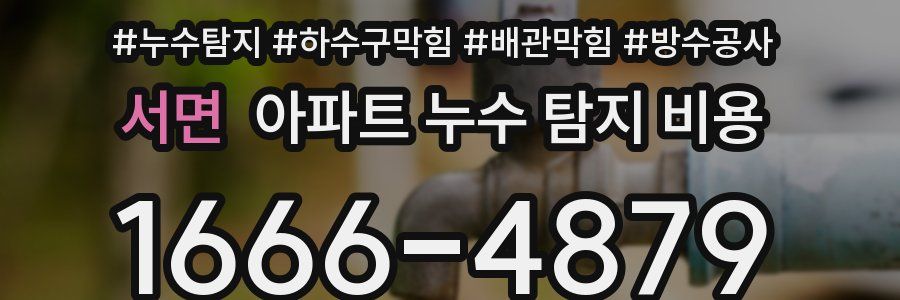 서면 아파트 누수 탐지 비용