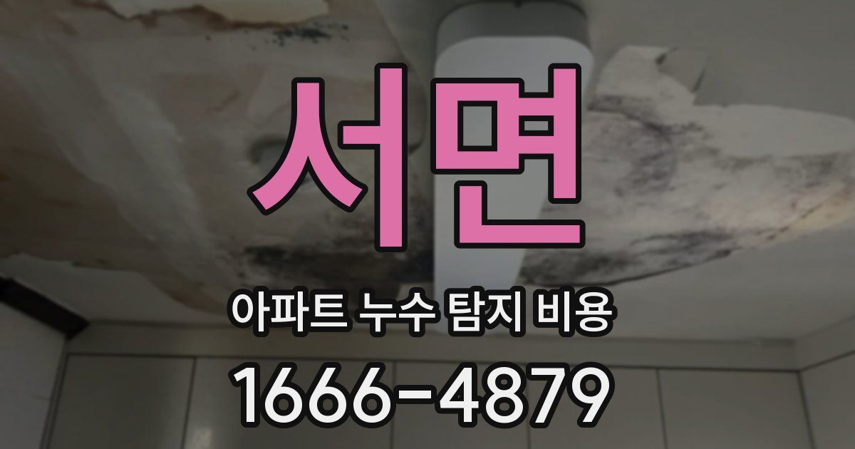 서면 아파트 누수 탐지 비용