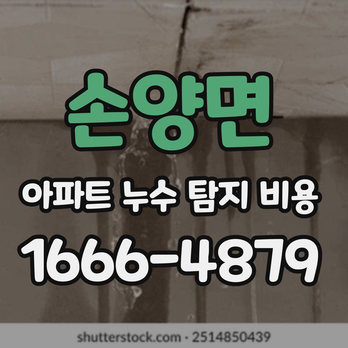 손양면 아파트 누수 탐지 비용