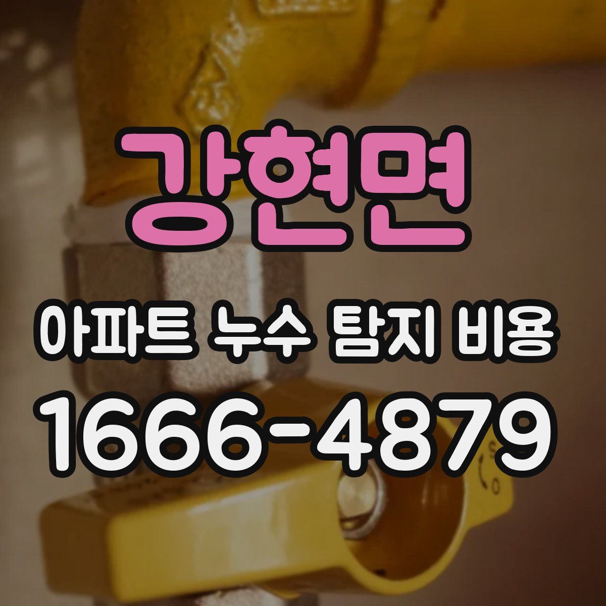 강현면 아파트 누수 탐지 비용