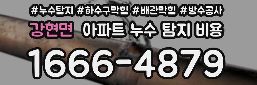 강현면 아파트 누수 탐지 비용