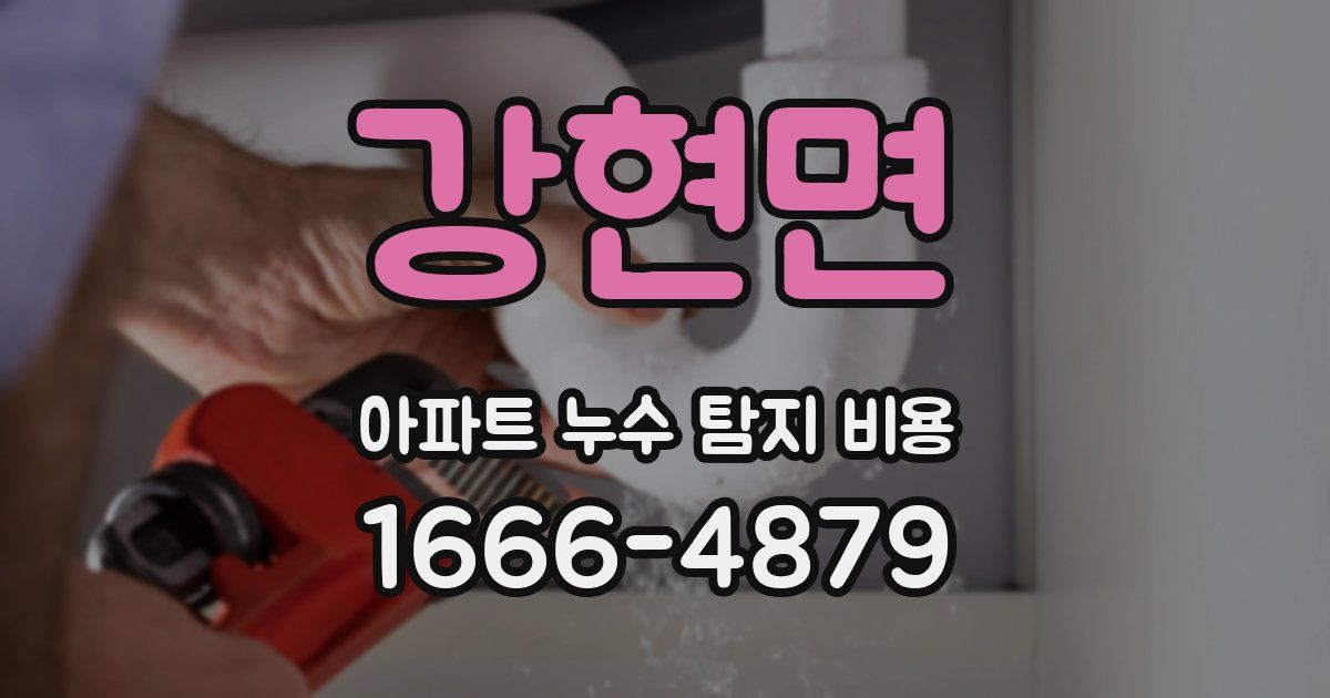 강현면 아파트 누수 탐지 비용