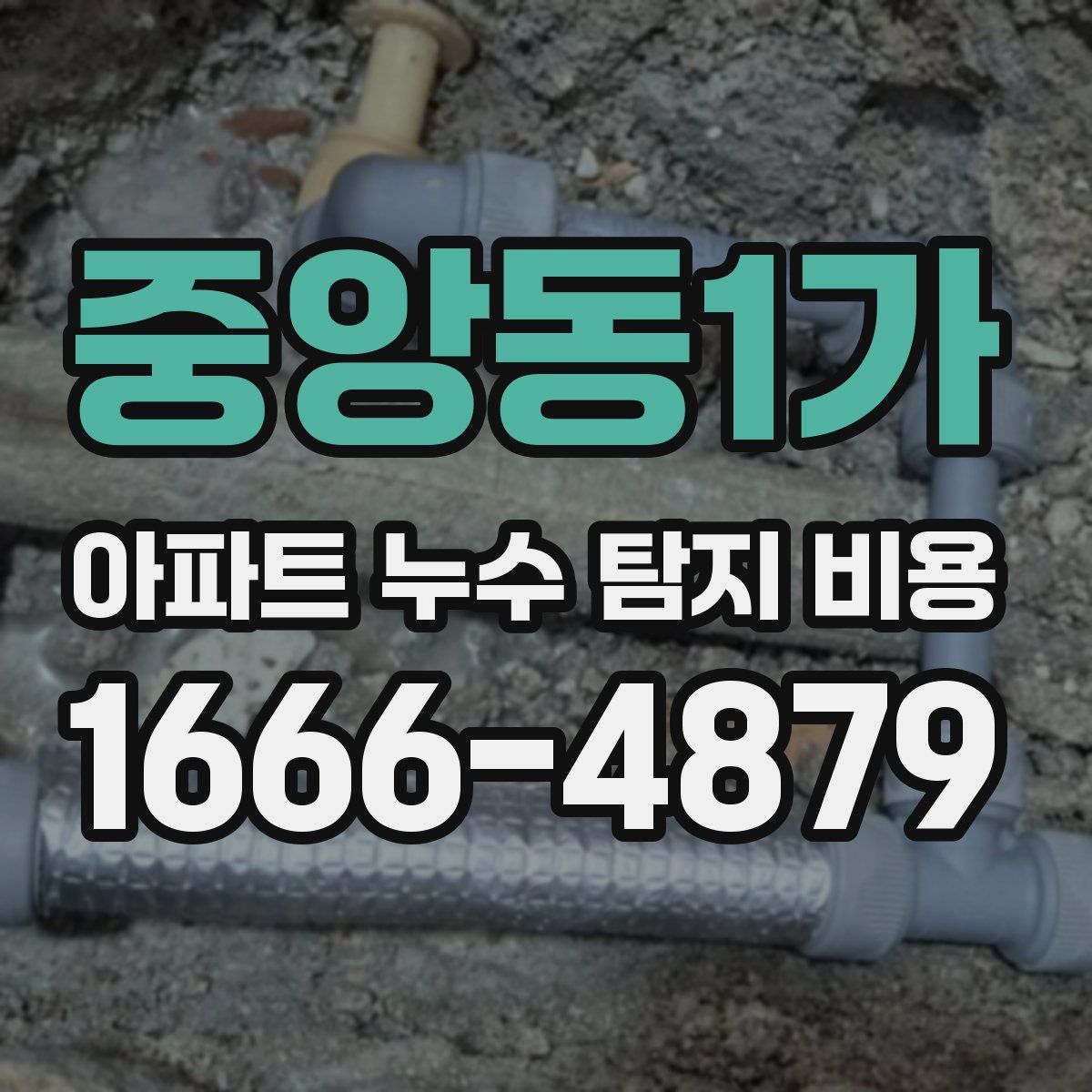 중앙동1가 아파트 누수 탐지 비용