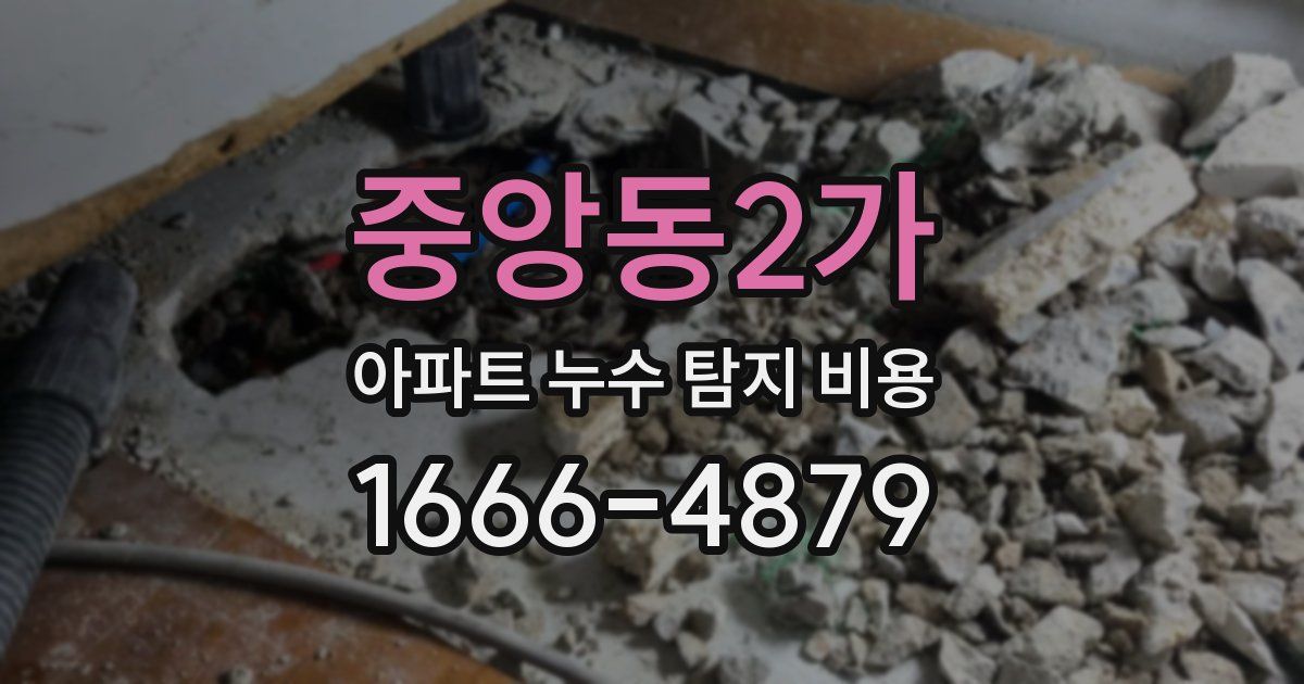 중앙동2가 아파트 누수 탐지 비용
