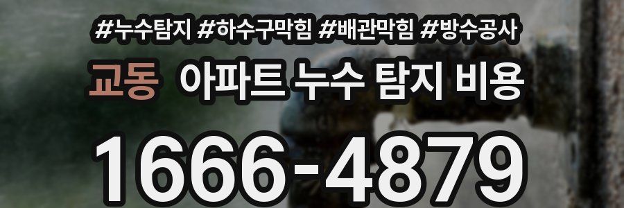 교동 아파트 누수 탐지 비용