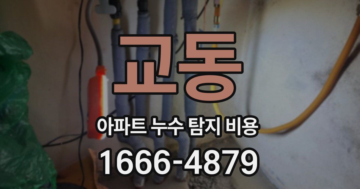 교동 아파트 누수 탐지 비용
