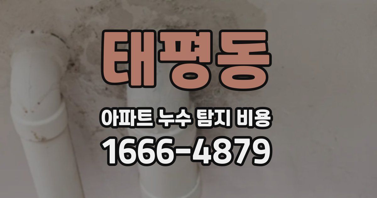 태평동 아파트 누수 탐지 비용
