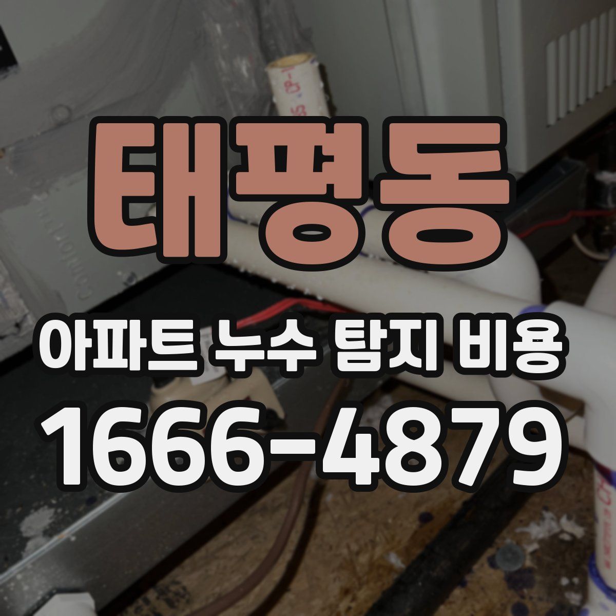 태평동 아파트 누수 탐지 비용