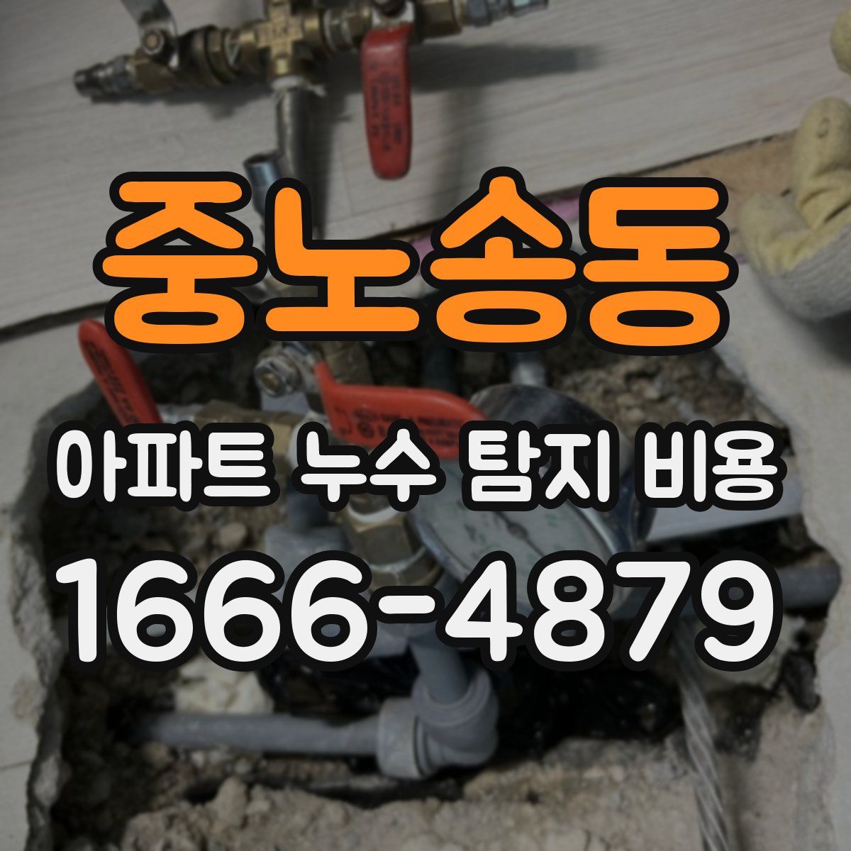 중노송동 아파트 누수 탐지 비용