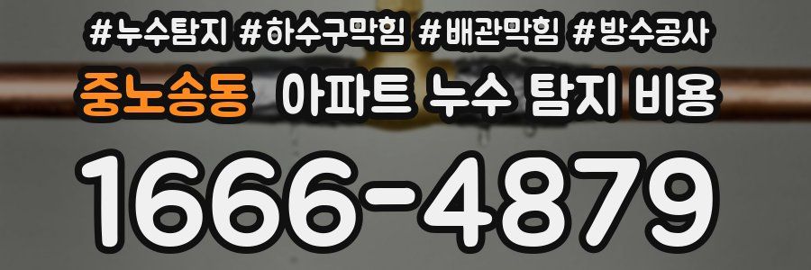 중노송동 아파트 누수 탐지 비용