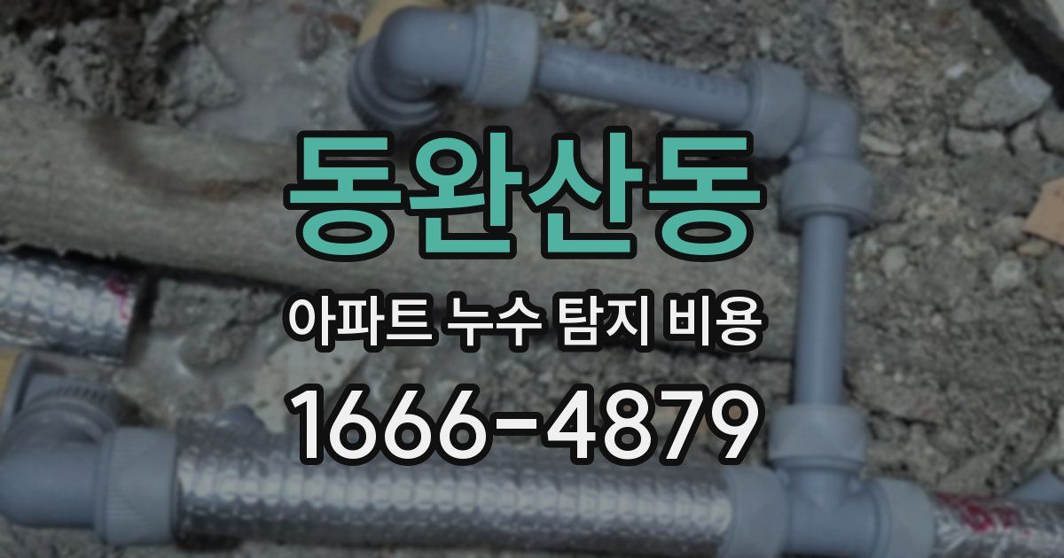 동완산동 아파트 누수 탐지 비용
