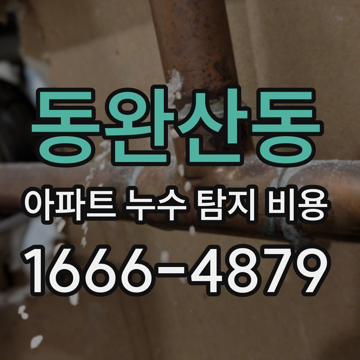 동완산동 아파트 누수 탐지 비용
