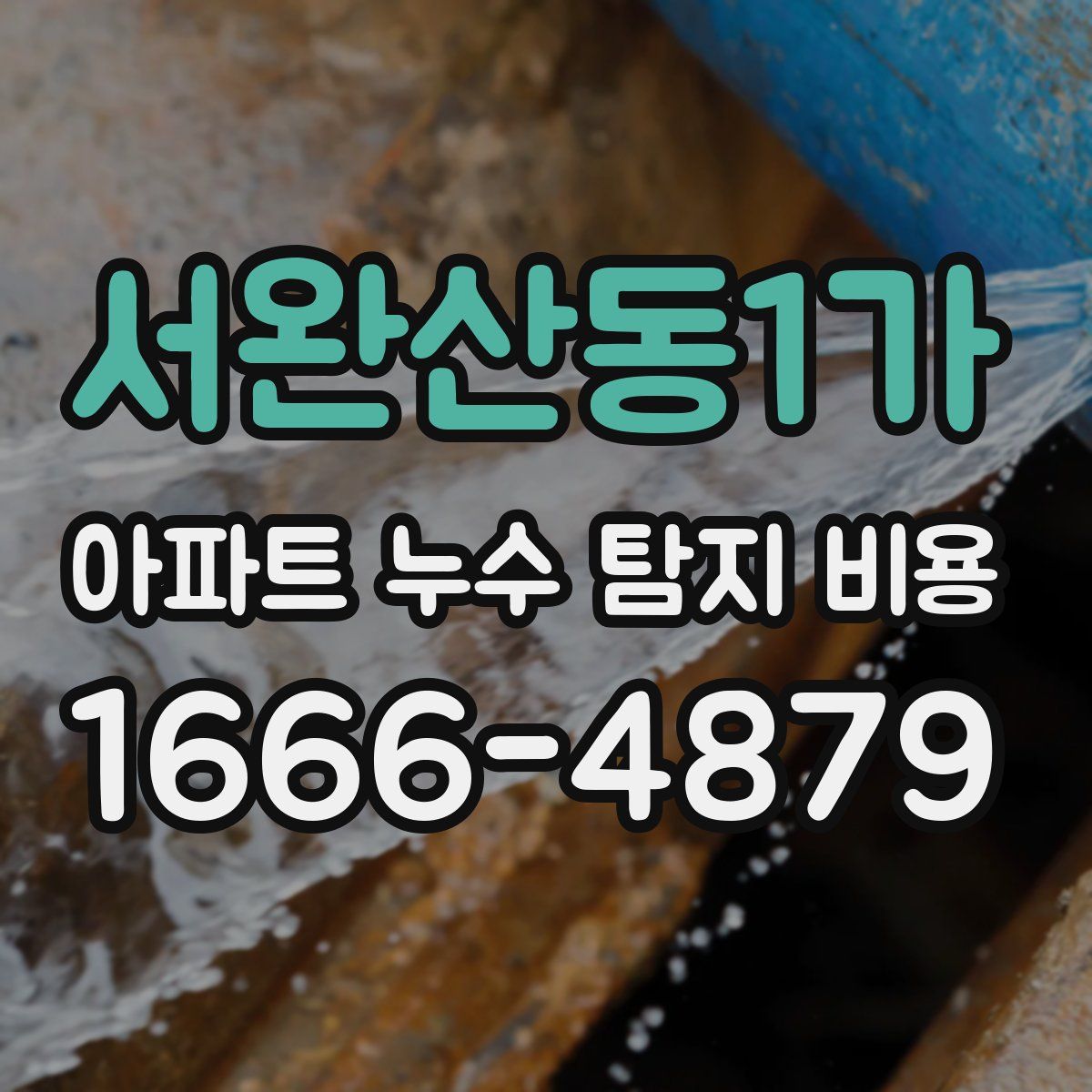 서완산동1가 아파트 누수 탐지 비용