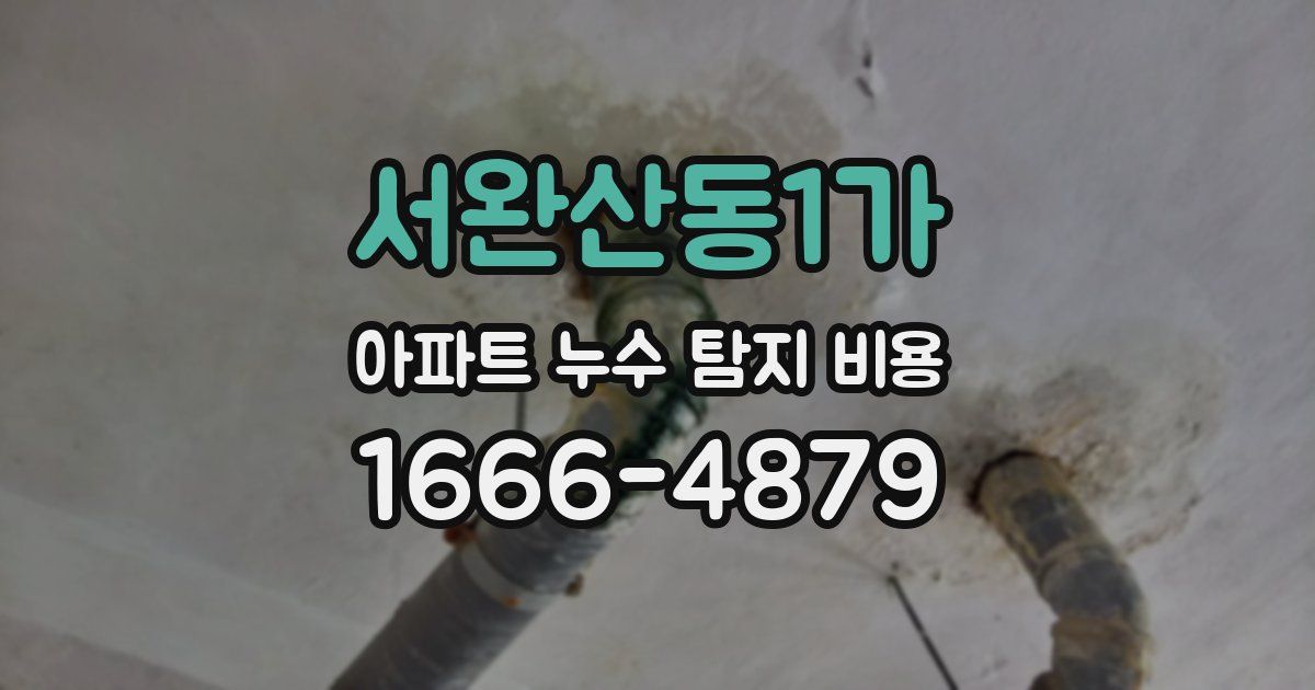 서완산동1가 아파트 누수 탐지 비용