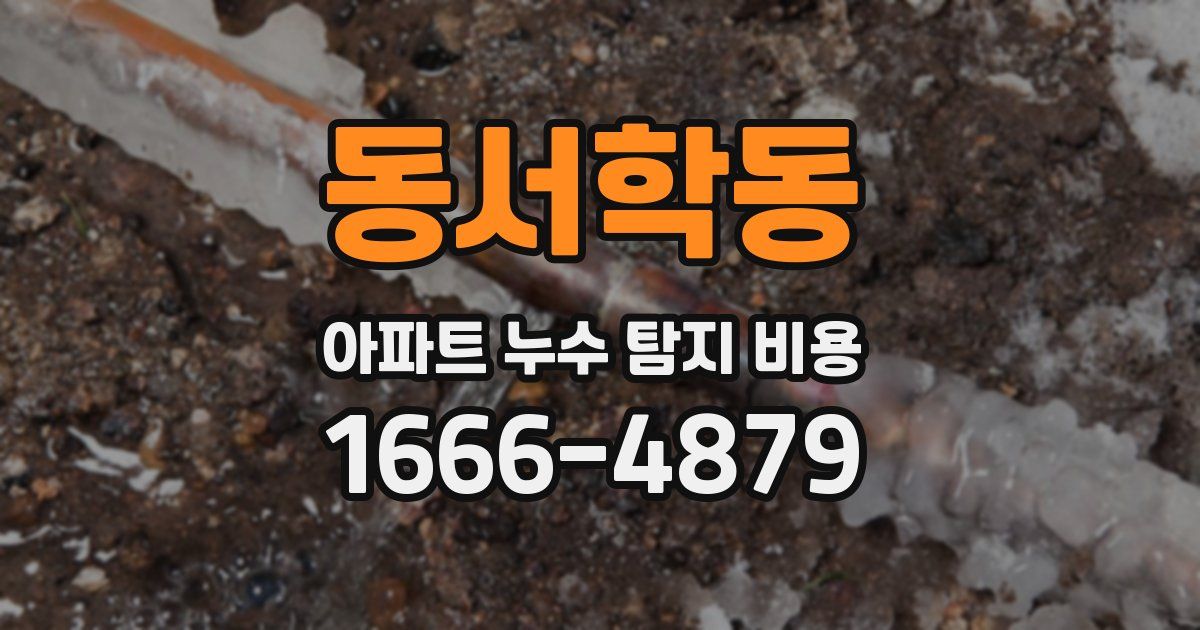 동서학동 아파트 누수 탐지 비용