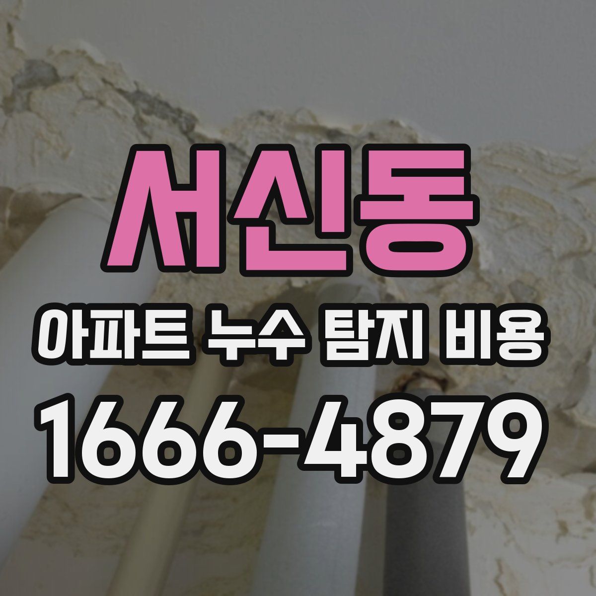서신동 아파트 누수 탐지 비용