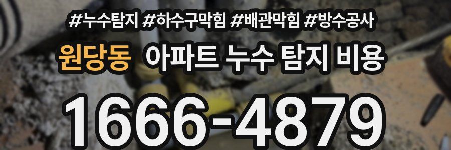 원당동 아파트 누수 탐지 비용