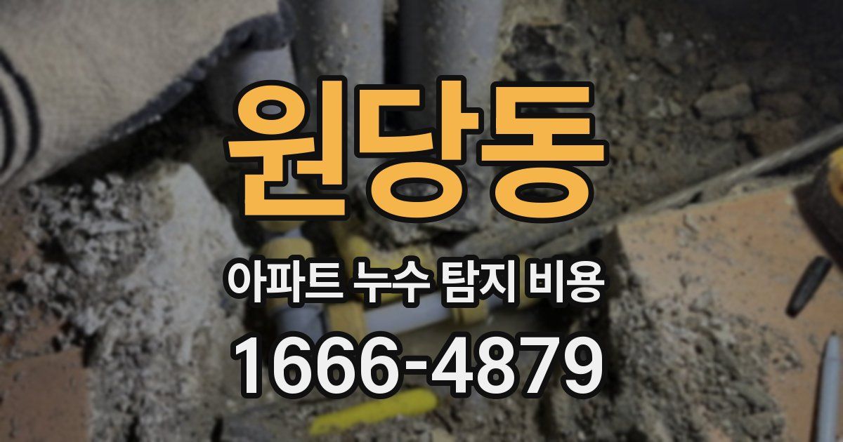 원당동 아파트 누수 탐지 비용