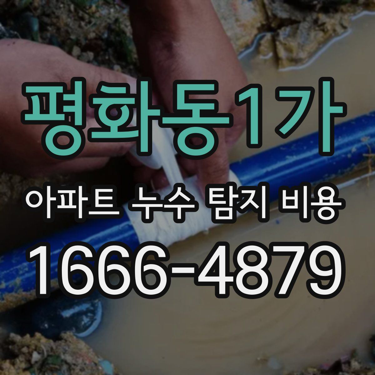 평화동1가 아파트 누수 탐지 비용