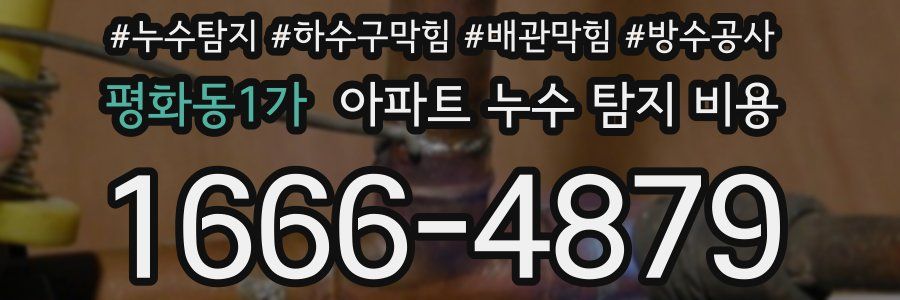 평화동1가 아파트 누수 탐지 비용
