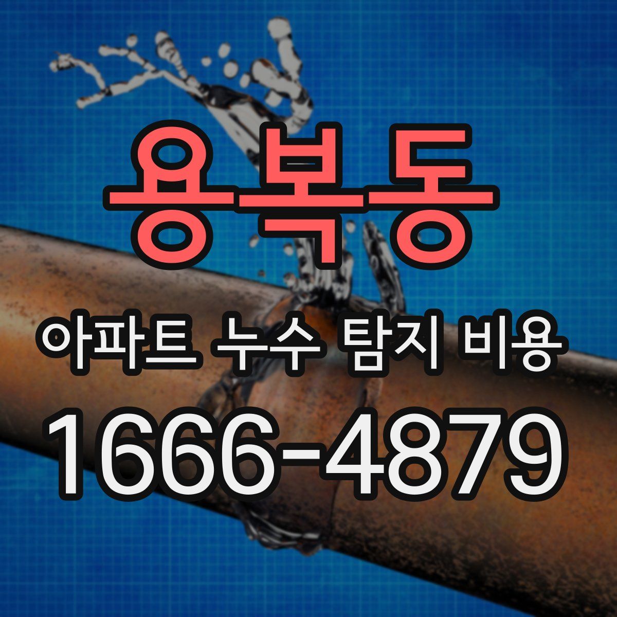 용복동 아파트 누수 탐지 비용