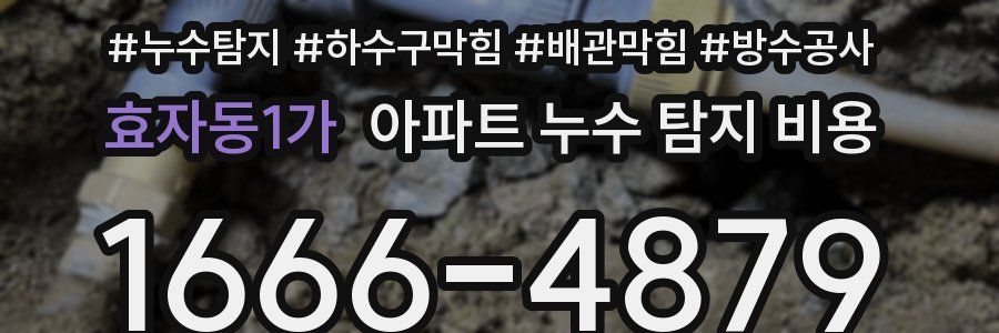 효자동1가 아파트 누수 탐지 비용