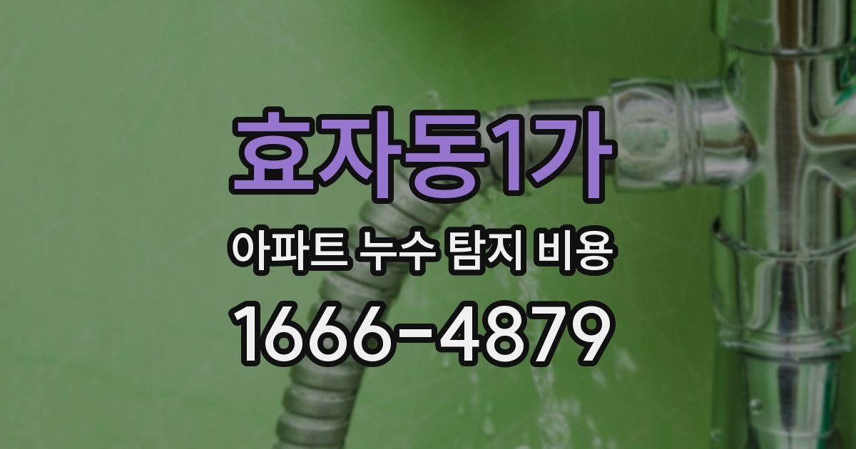 효자동1가 아파트 누수 탐지 비용