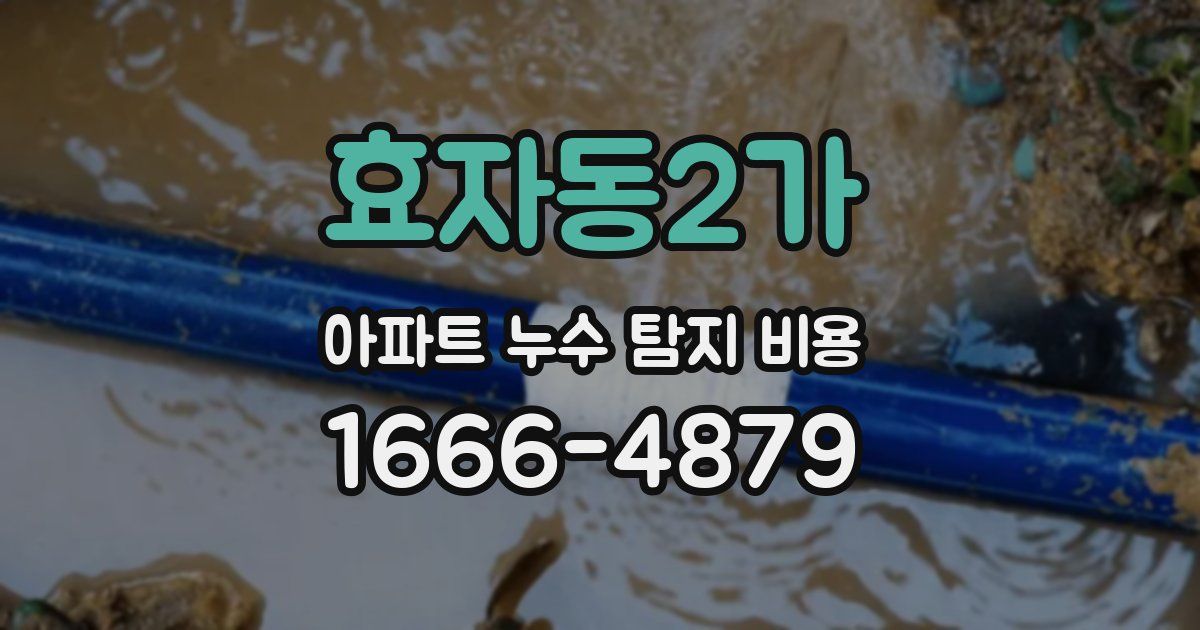 효자동2가 아파트 누수 탐지 비용