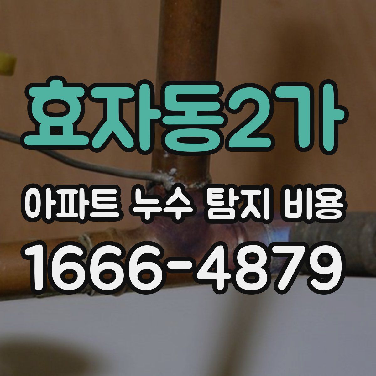 효자동2가 아파트 누수 탐지 비용