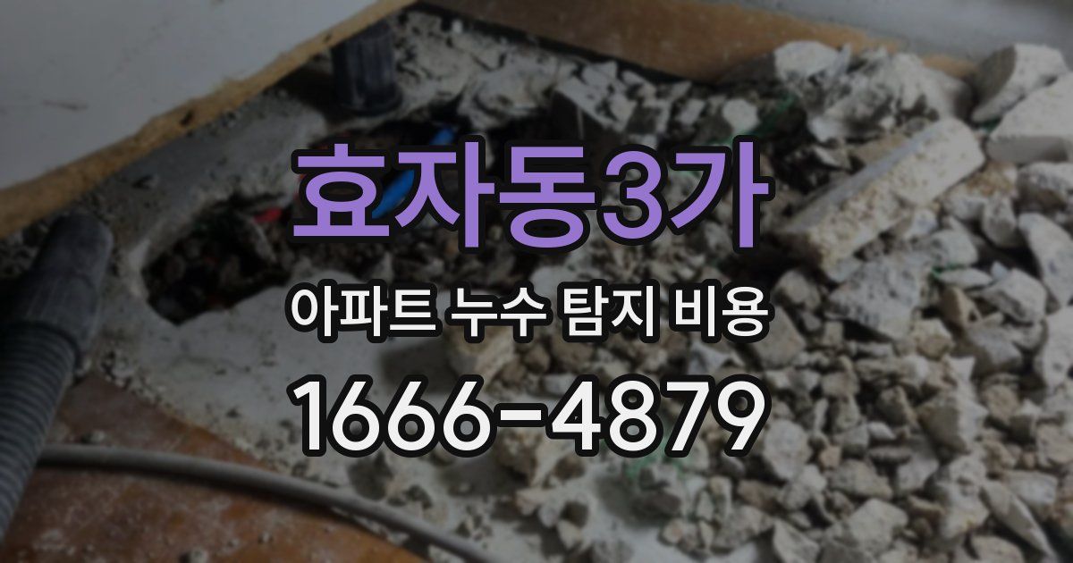 효자동3가 아파트 누수 탐지 비용