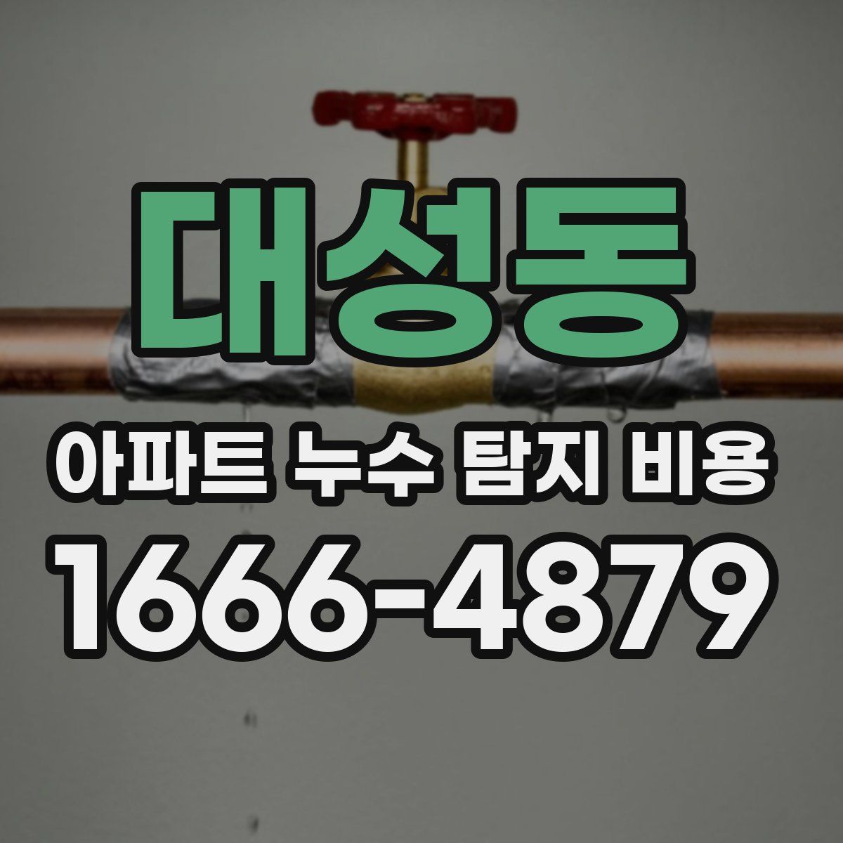 대성동 아파트 누수 탐지 비용