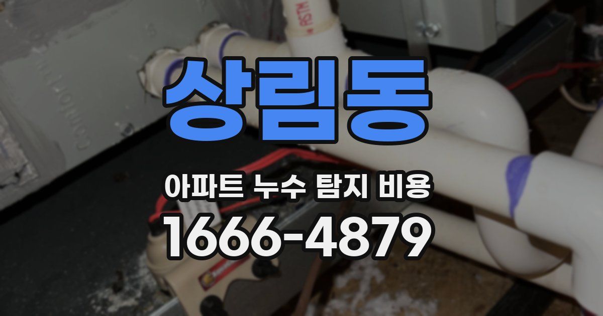 상림동 아파트 누수 탐지 비용