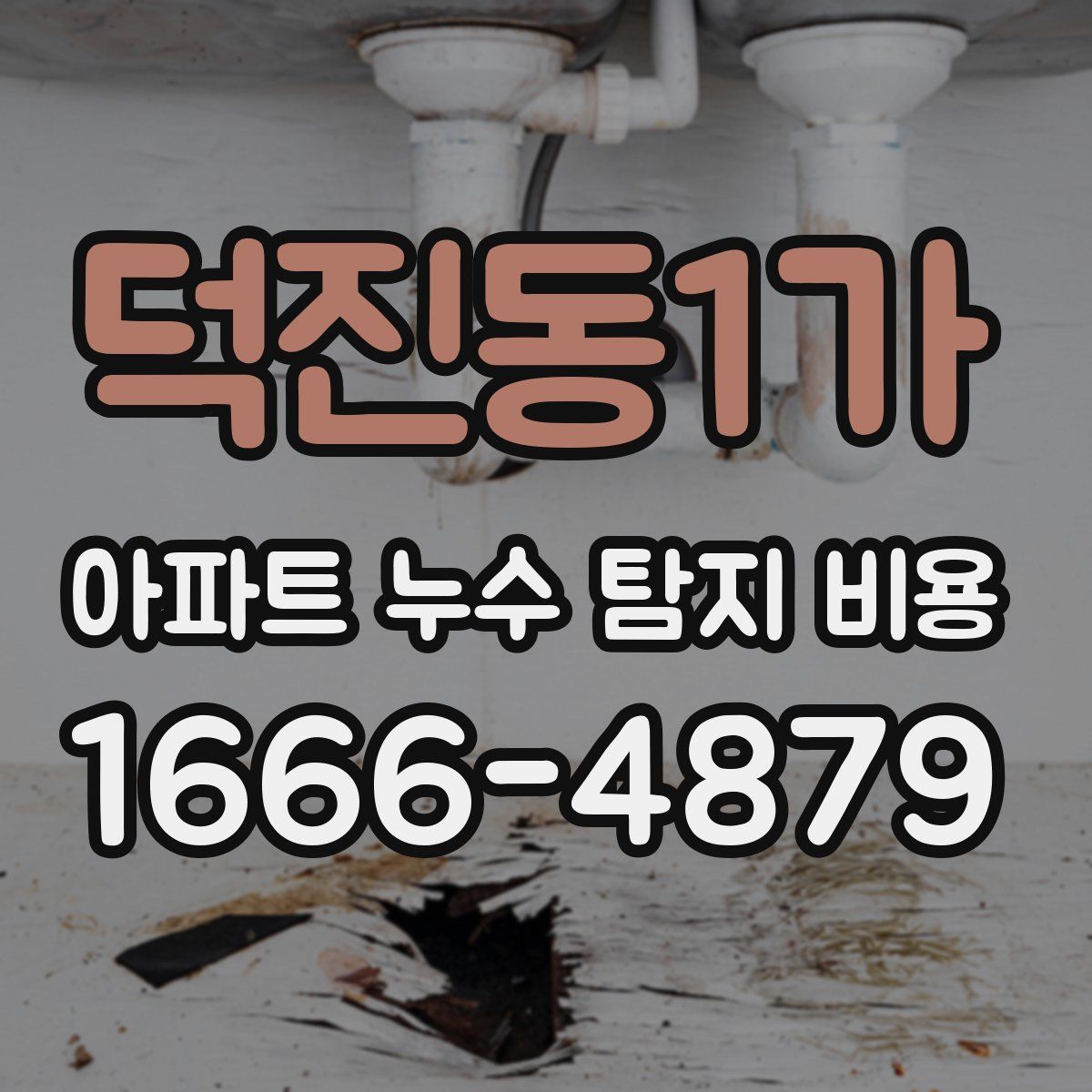 덕진동1가 아파트 누수 탐지 비용