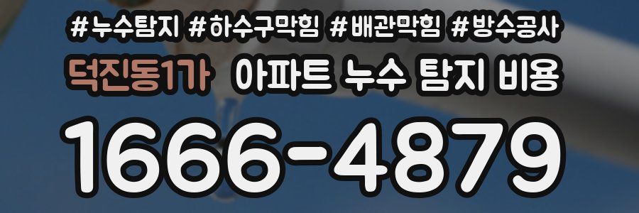 덕진동1가 아파트 누수 탐지 비용