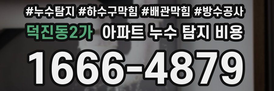 덕진동2가 아파트 누수 탐지 비용