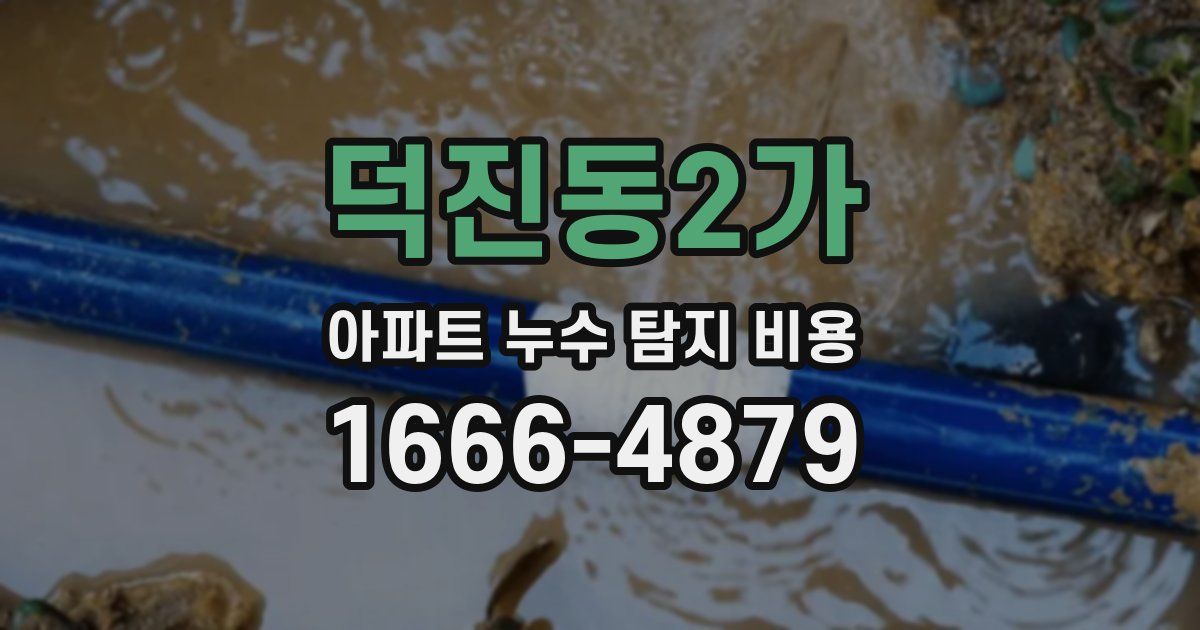 덕진동2가 아파트 누수 탐지 비용